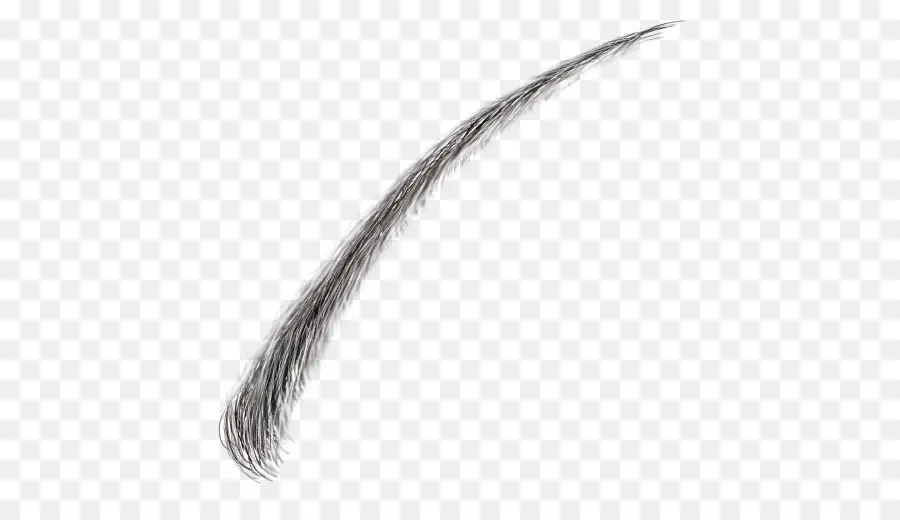 Sourcil，Cheveux PNG