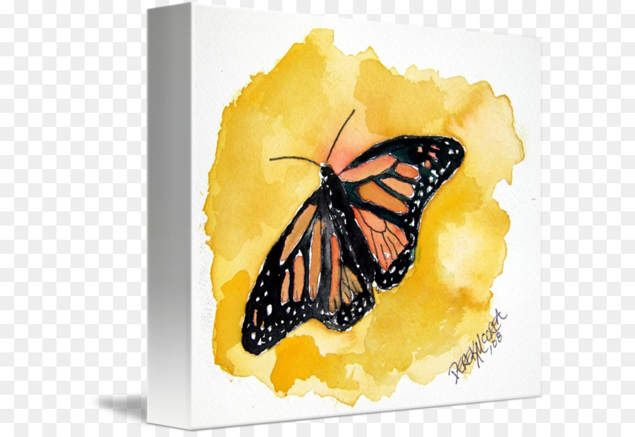 Papillon，La Peinture à L'aquarelle PNG