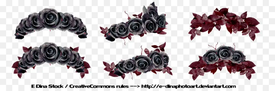 Roses Noires Et Rouges，Fleurs PNG