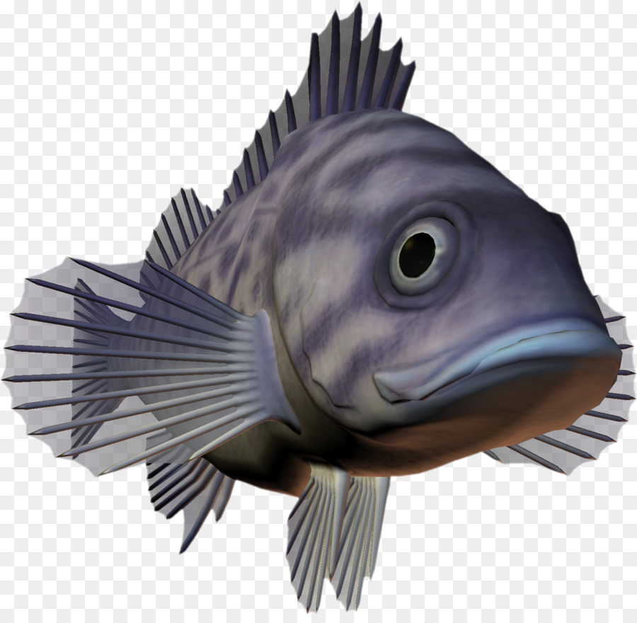 Poisson Bleu，Poisson PNG