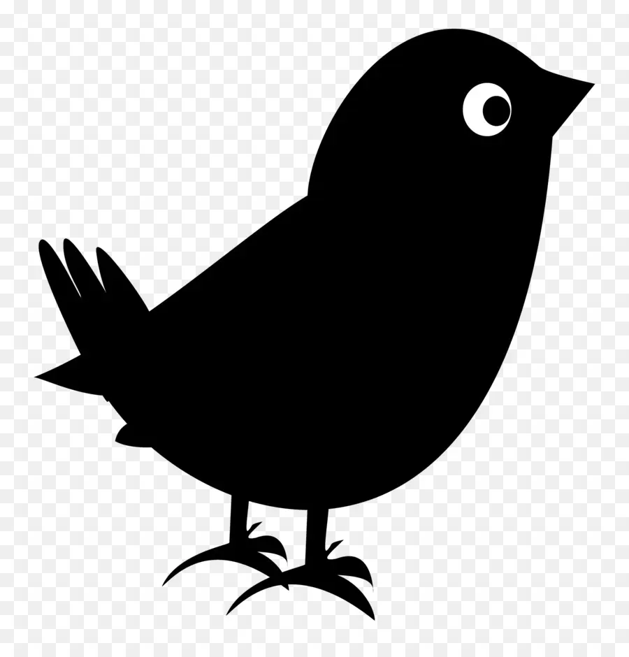 Oiseau Noir，Silhouette PNG