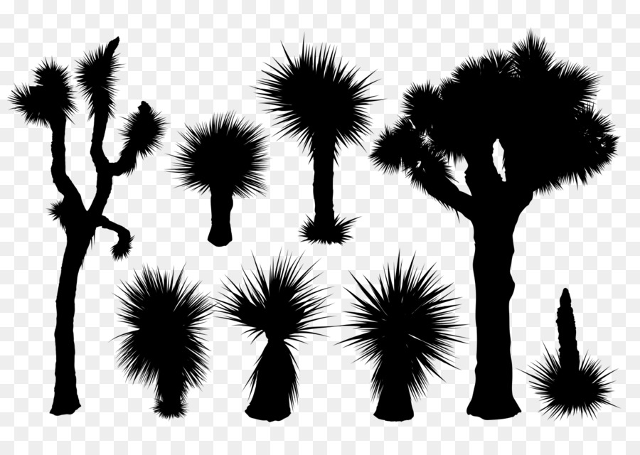 Arbres De Josué，Silhouette PNG