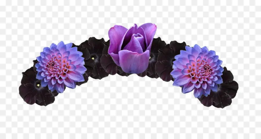 Couronne De Fleurs Violettes Et Noires，Fleur Violette PNG