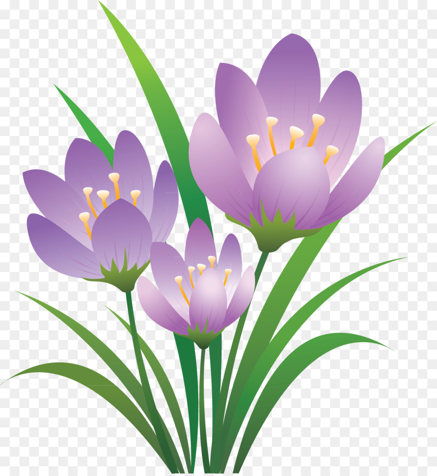 Fleurs Violettes，Fleurir PNG