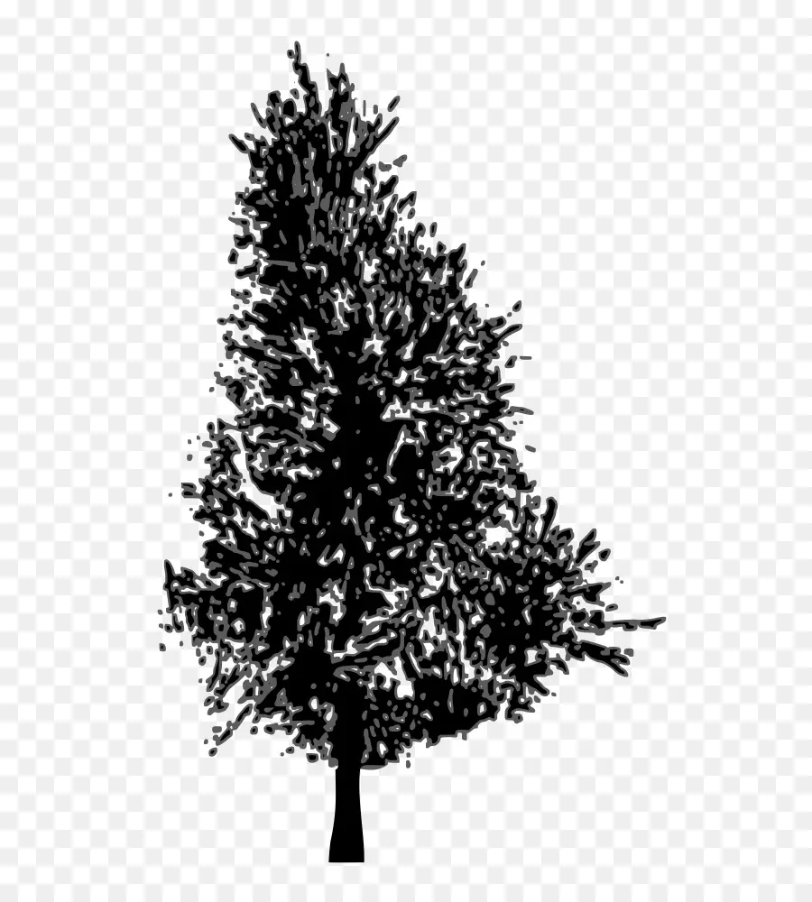 Silhouette D'arbre，Usine PNG