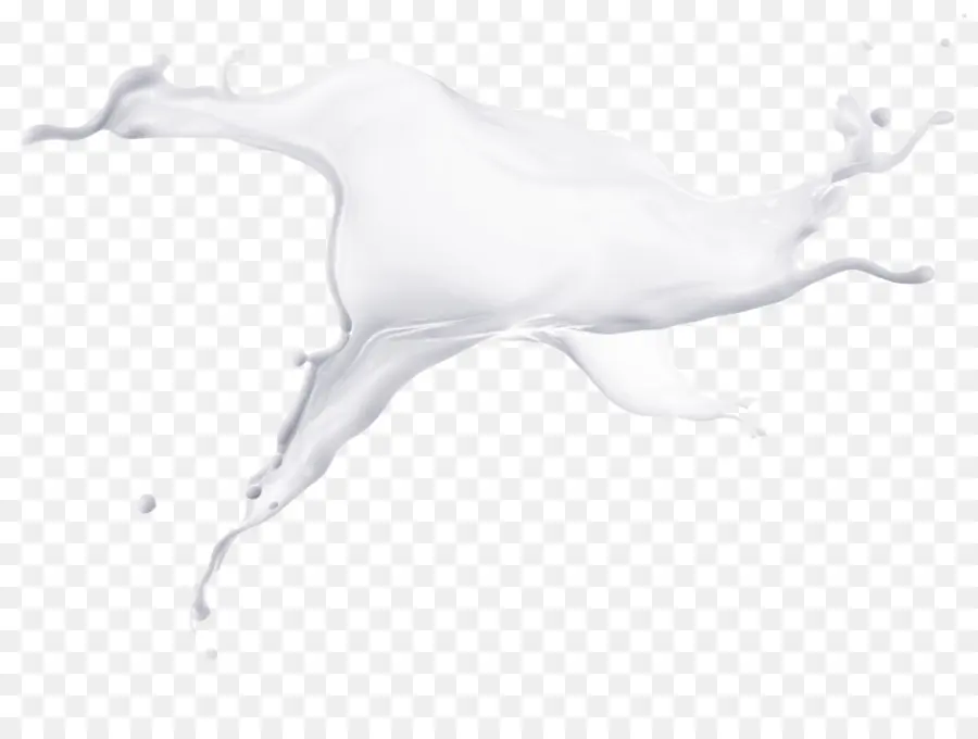 Lait，éclabousser PNG