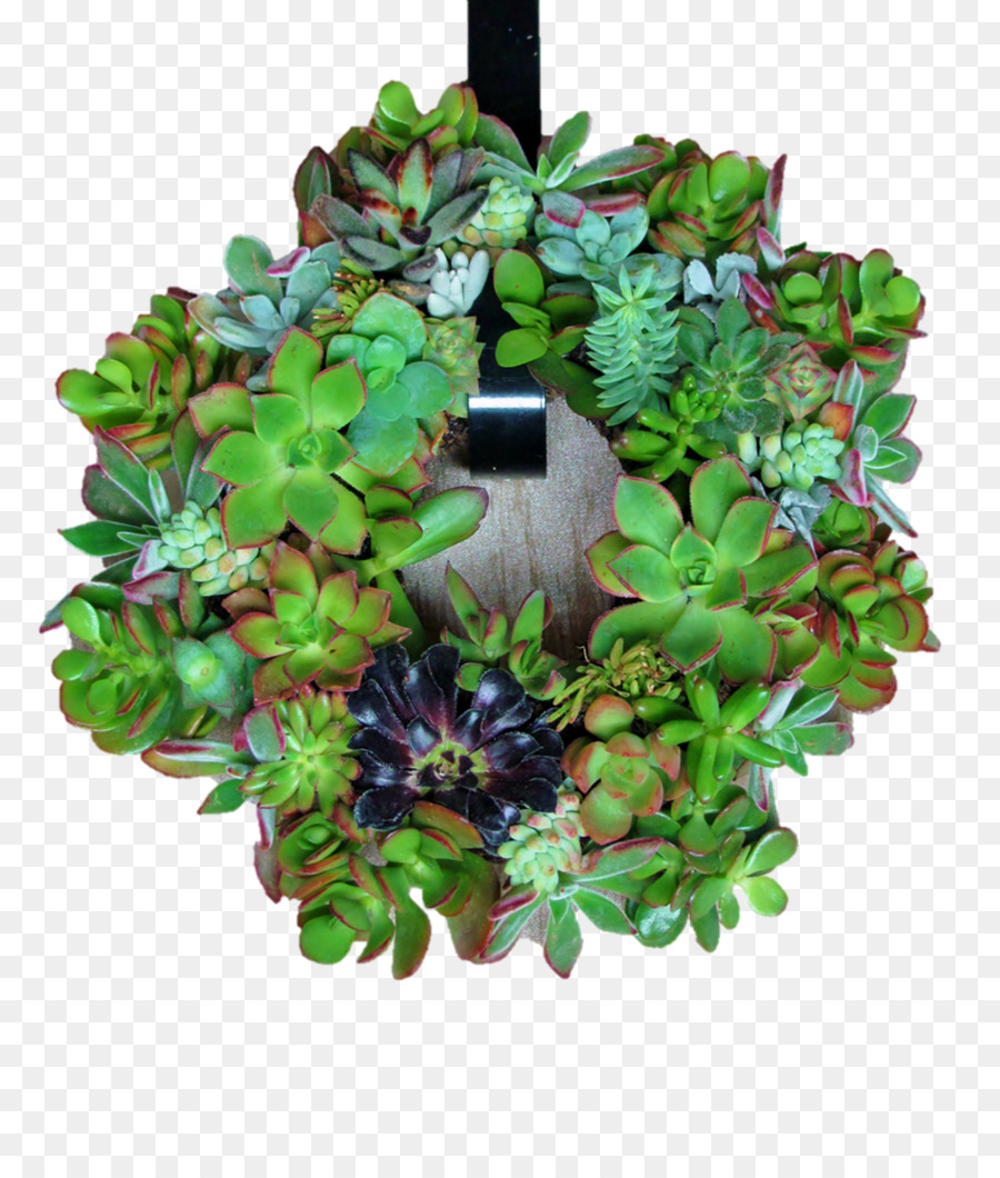 Couronne，Flowerpot PNG