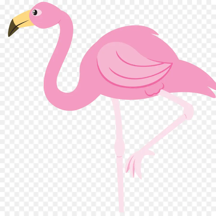Flamingo，Blog PNG
