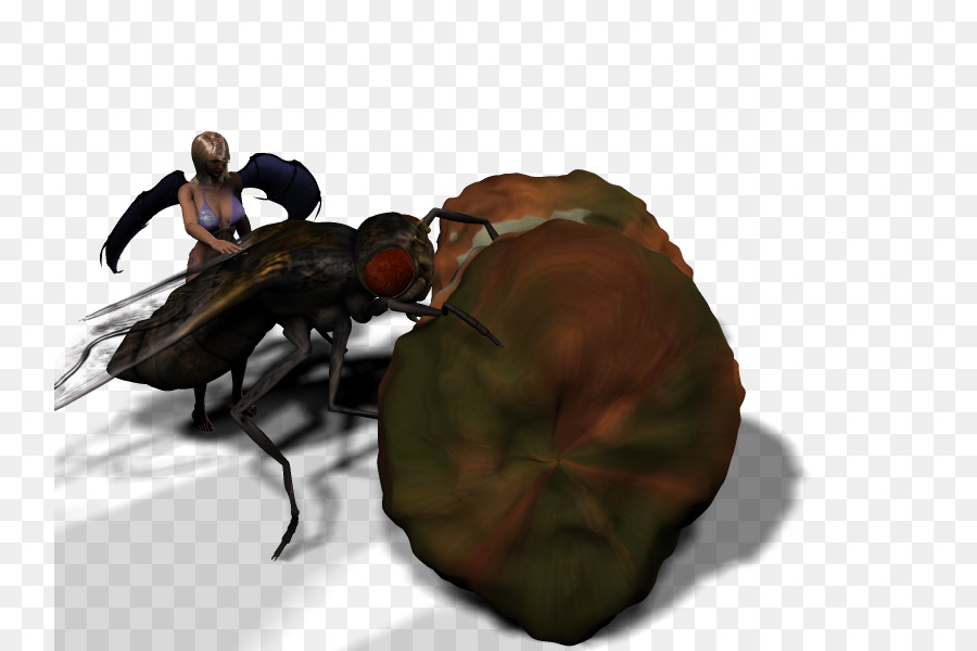 Les Insectes，Décapodes PNG