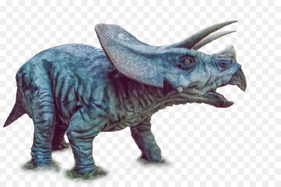 Tricératops，Préhistorique PNG