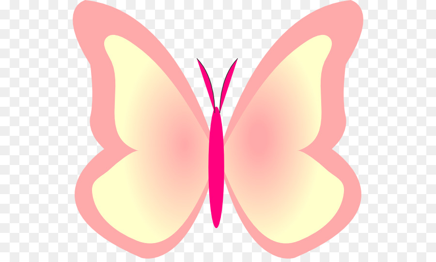 Papillon，Insecte PNG