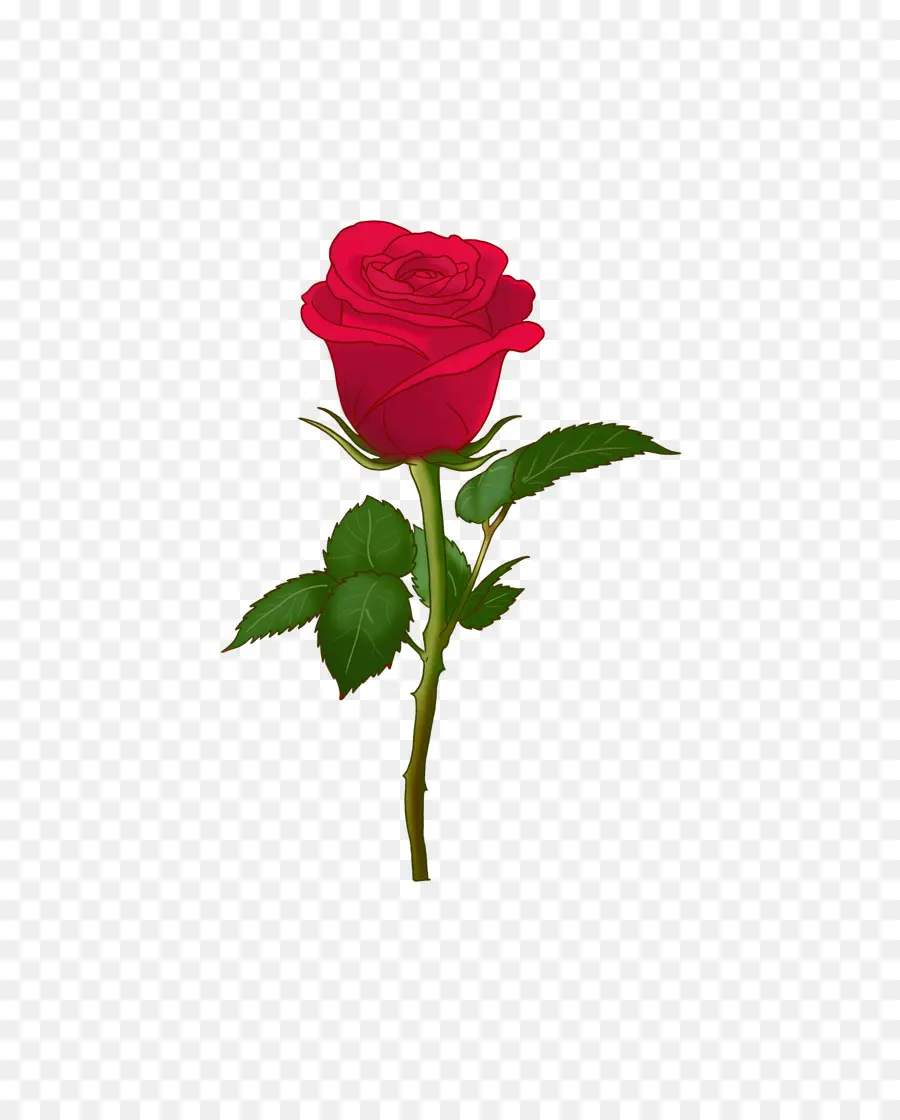 Roses De Centifolia，Emoji PNG