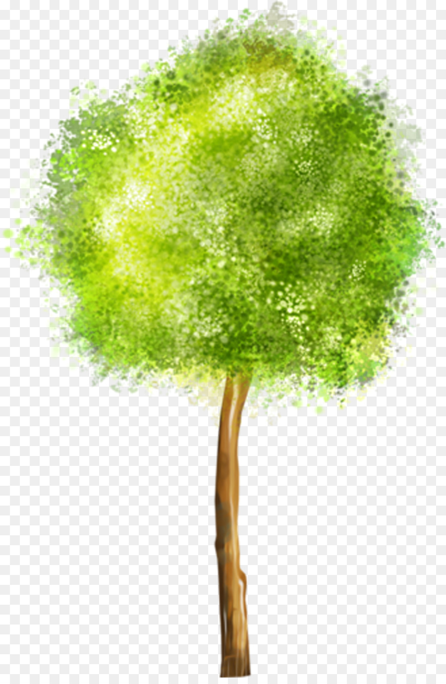 Arbre Vert，Usine PNG