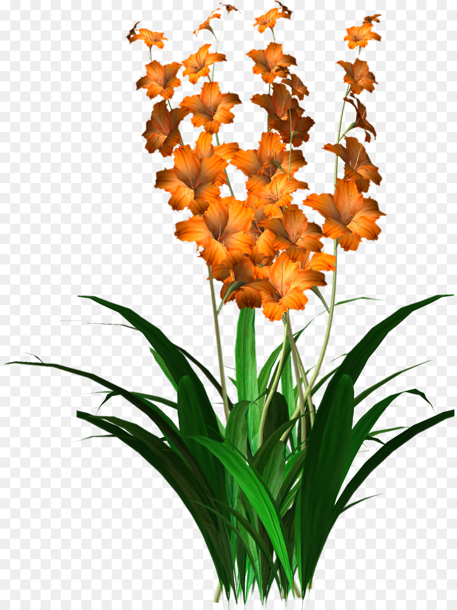 Fleur，Flowerpot PNG