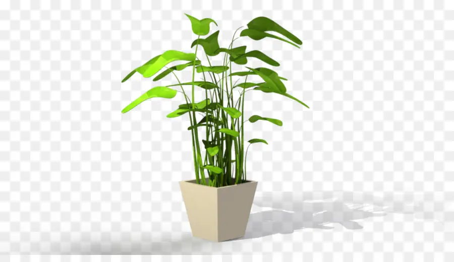 Plante En Pot，Vert PNG