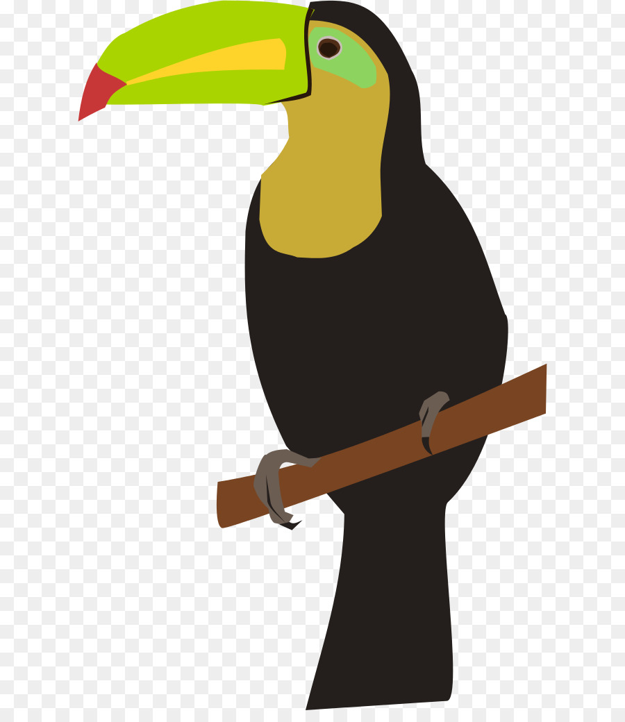 Le Toucan，Domaine Public PNG