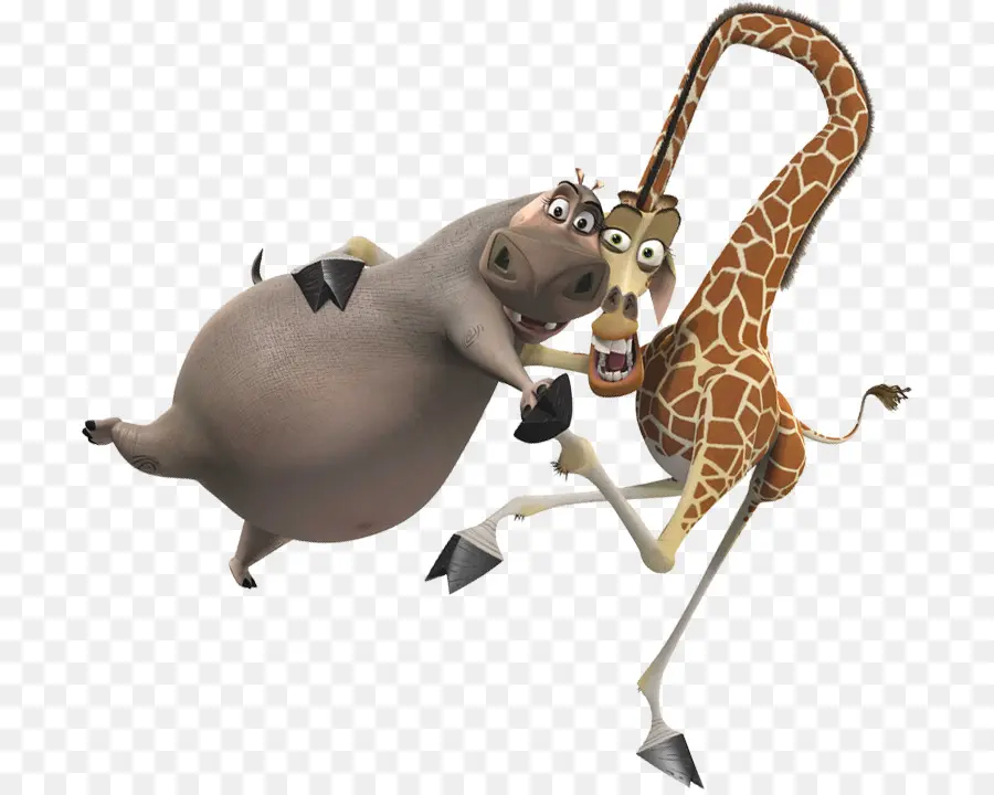 Hippopotame Et Girafe Animés，Hippopotame PNG