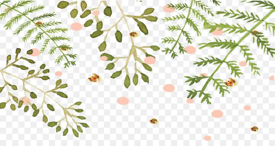 Feuilles Vertes，Botanique PNG