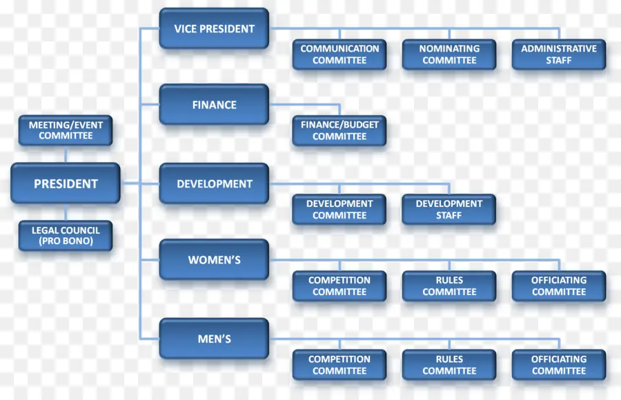 Organigramme，Structure PNG