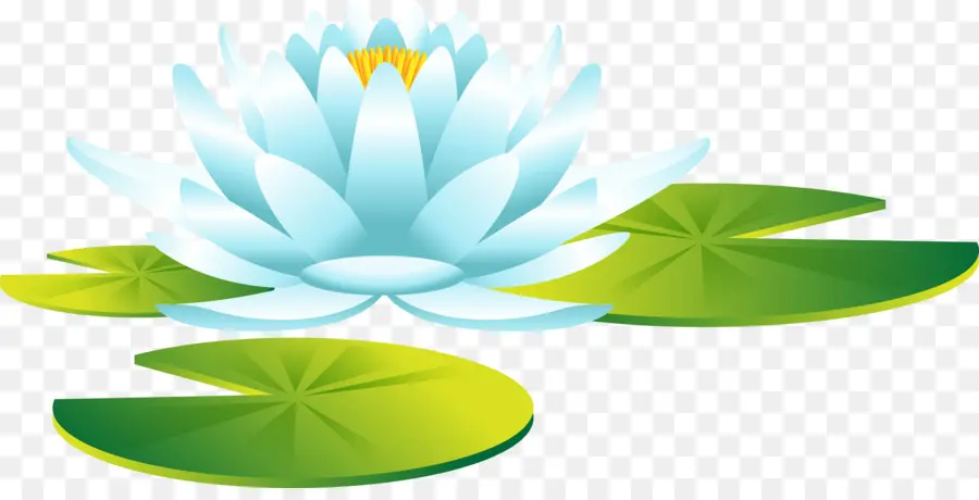 Fleur De Lotus，Floraison PNG