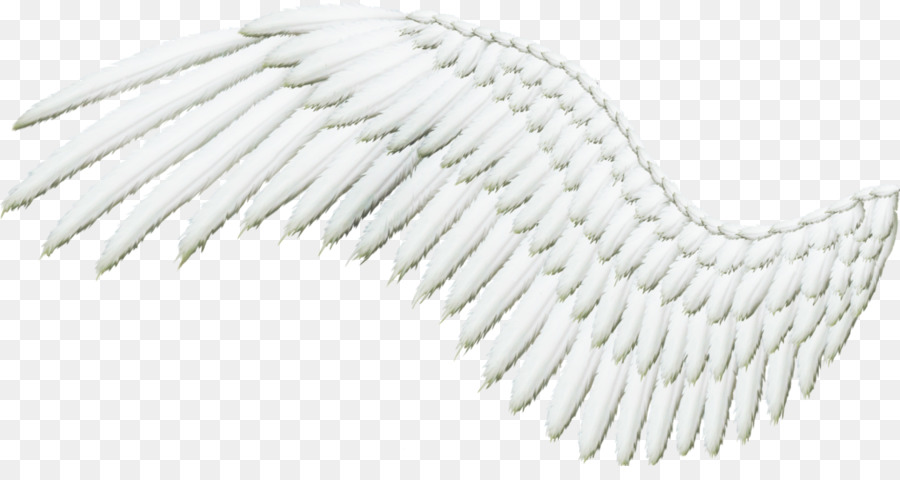 Plume，Autocollant PNG