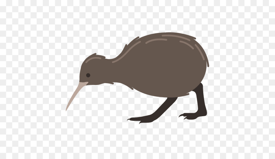 Oiseau Kiwi，Oiseau PNG