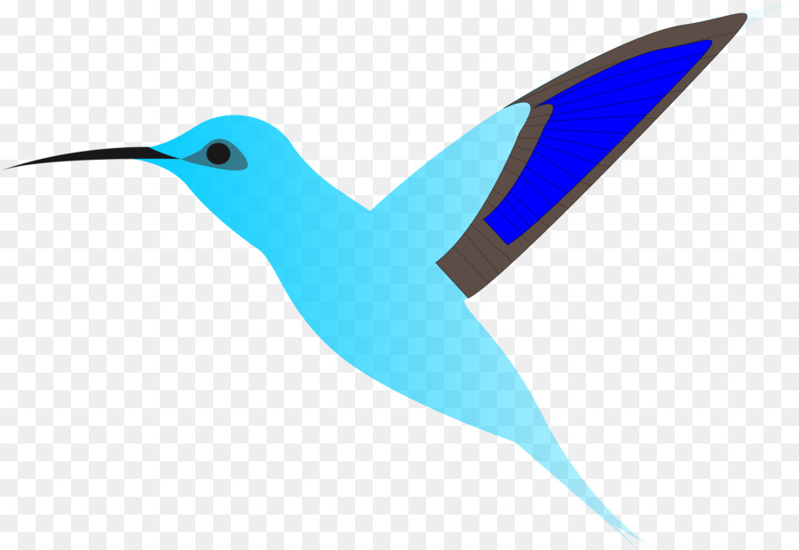 Oiseau，Goélands PNG