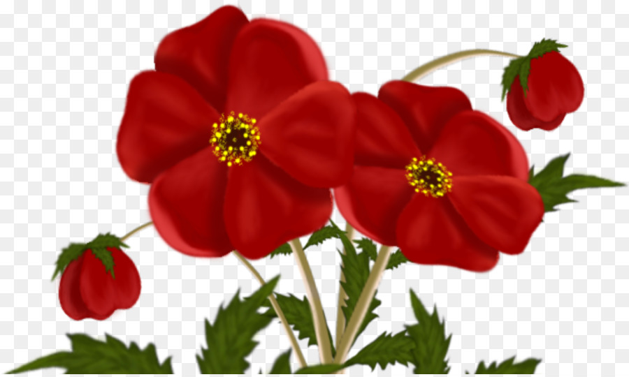 Fleurs，Bouquet PNG