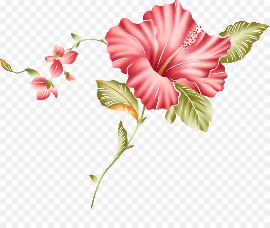 Fleur D'hibiscus，Rose PNG