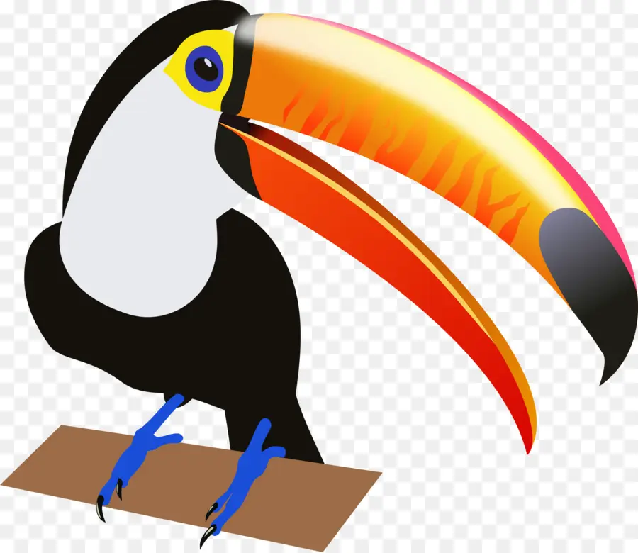 Toucan，Bec PNG