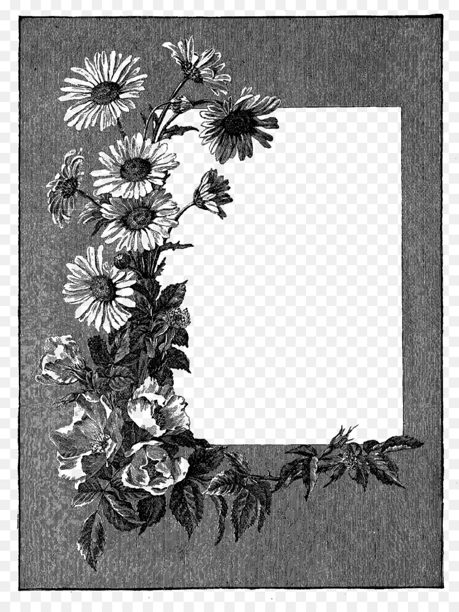 Cadre Floral，Fleurs PNG