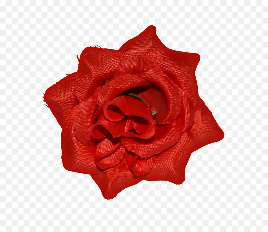 Fleur Rouge，Fleurir PNG