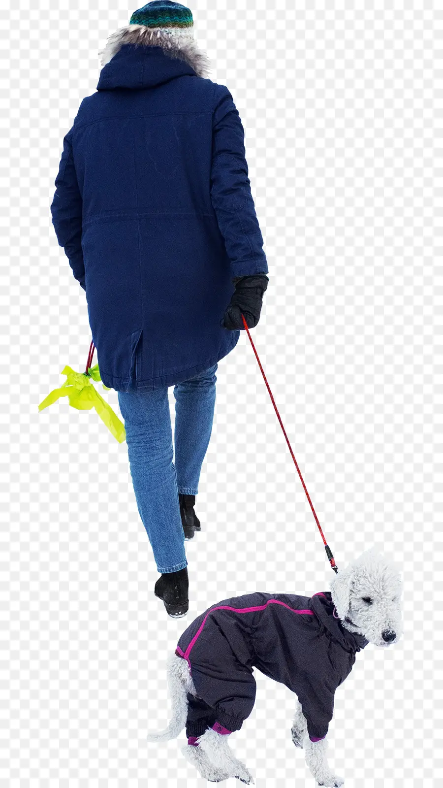 Chien，La Marche De Chien PNG