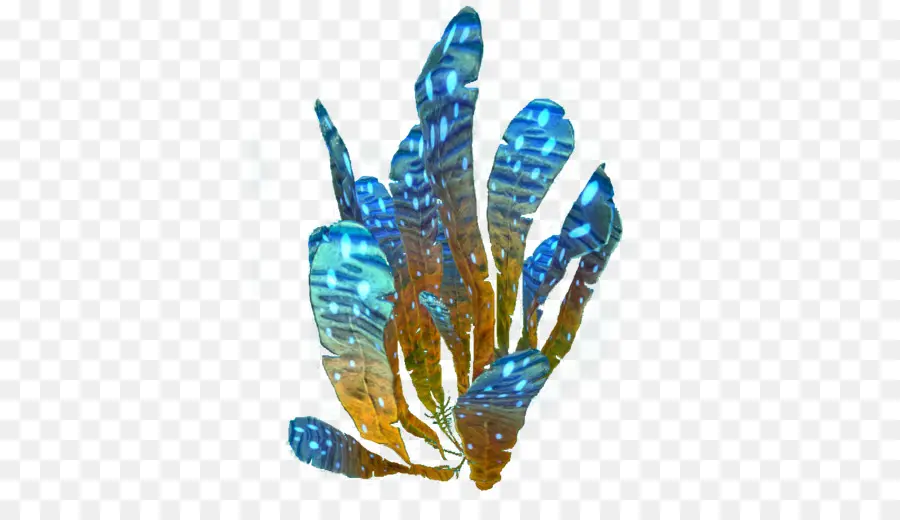 Subnautica，Les Plantes Aquatiques PNG