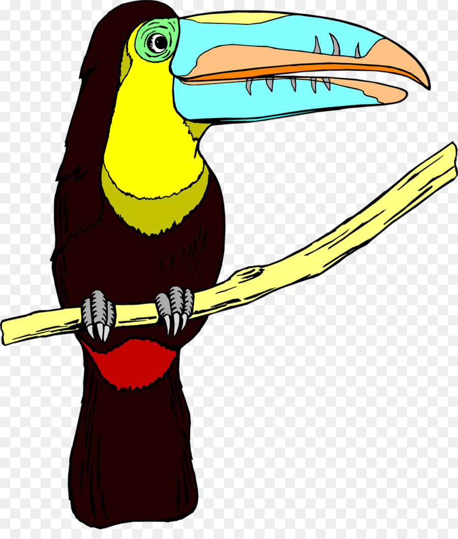 Oiseau，Le Toucan PNG