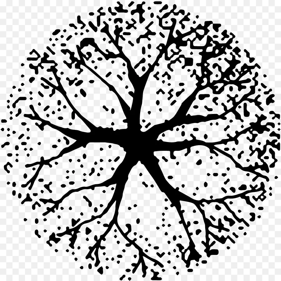 Arbre，Noir Et Blanc PNG