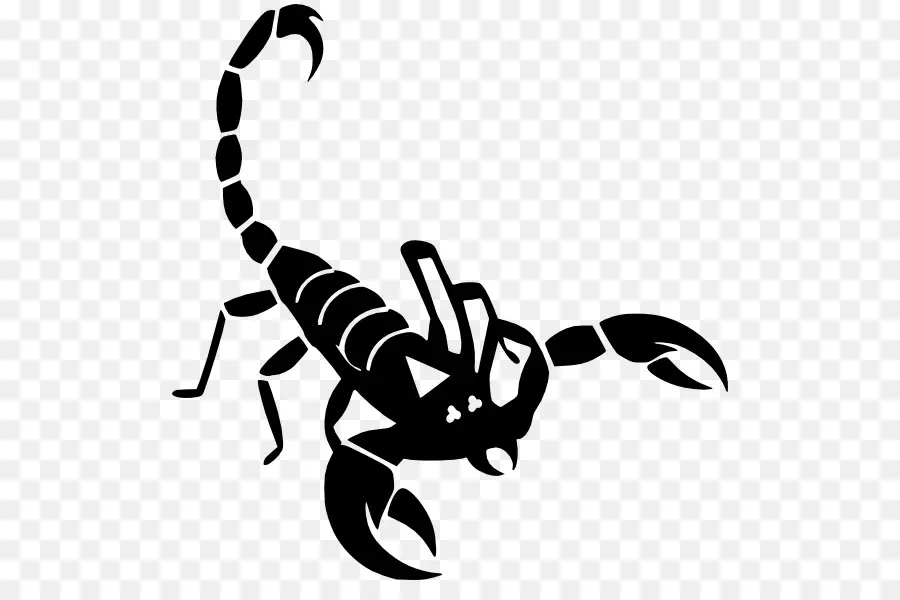 Scorpion，Insecte PNG