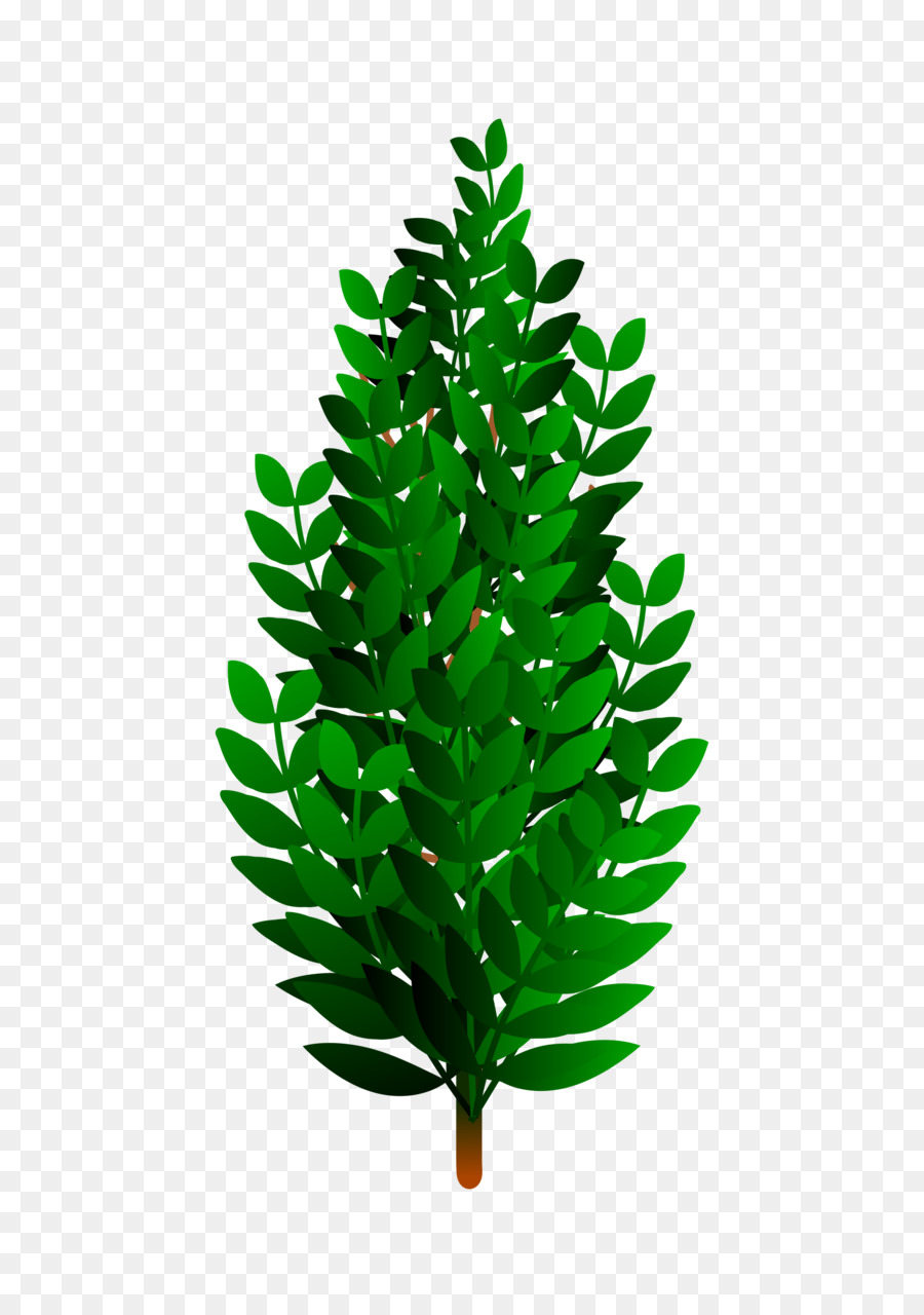 Arbre Vert，Usine PNG