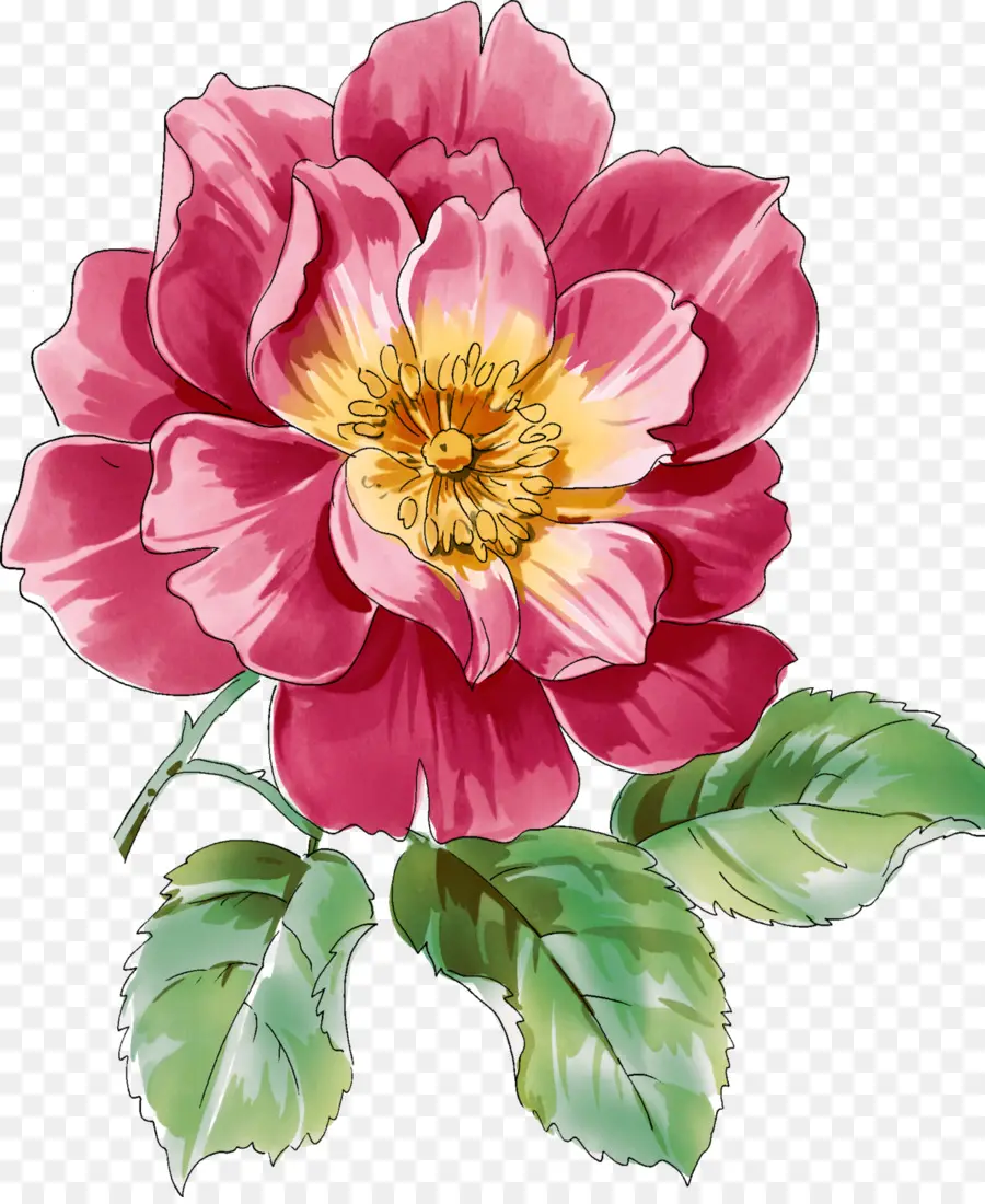 Fleur，Les Meilleures Roses PNG