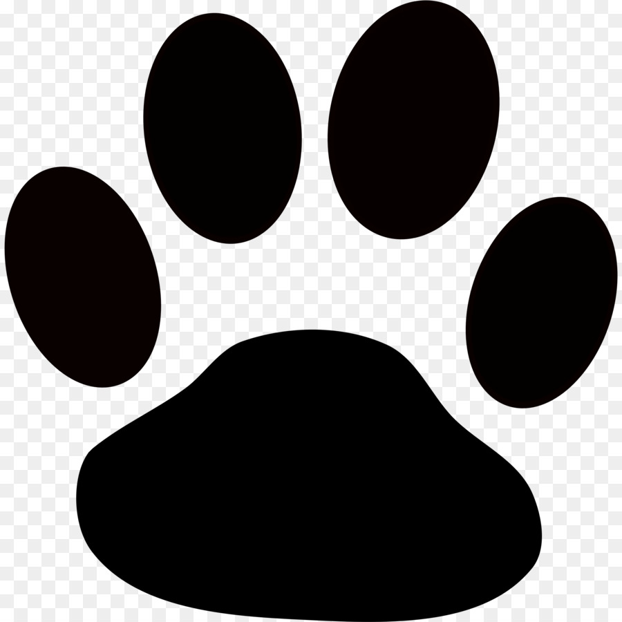 Bouledogue Tigre Chat Png Bouledogue Tigre Chat Transparentes Png Gratuit