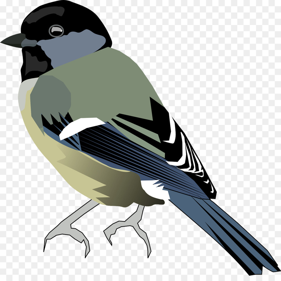 Black Cappage Chickadee，Oiseau PNG