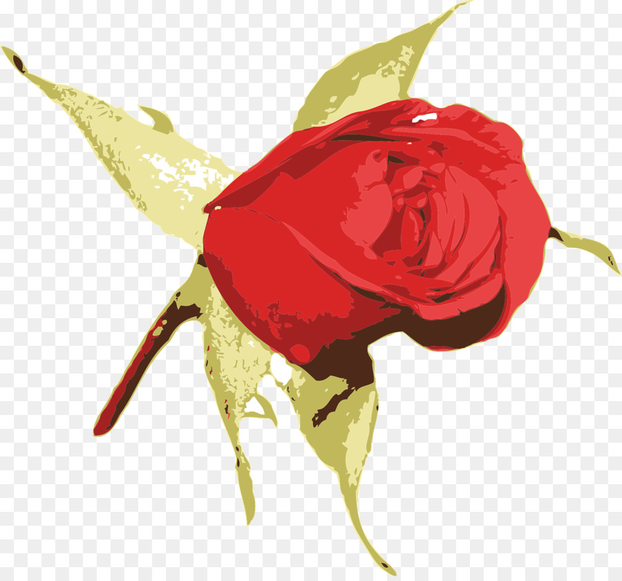 Fleur，Rose PNG