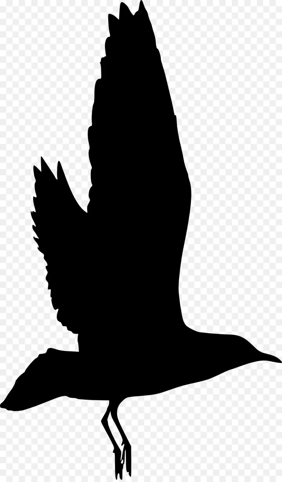 Silhouette D'oiseau，Vol PNG