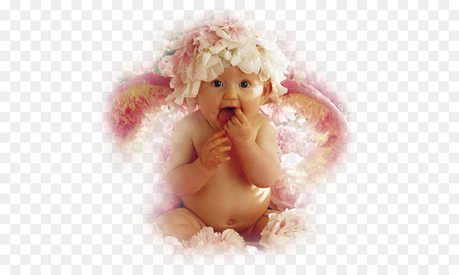 Anne Geddes Bebe La Photographie Png Anne Geddes Bebe La Photographie Transparentes Png Gratuit