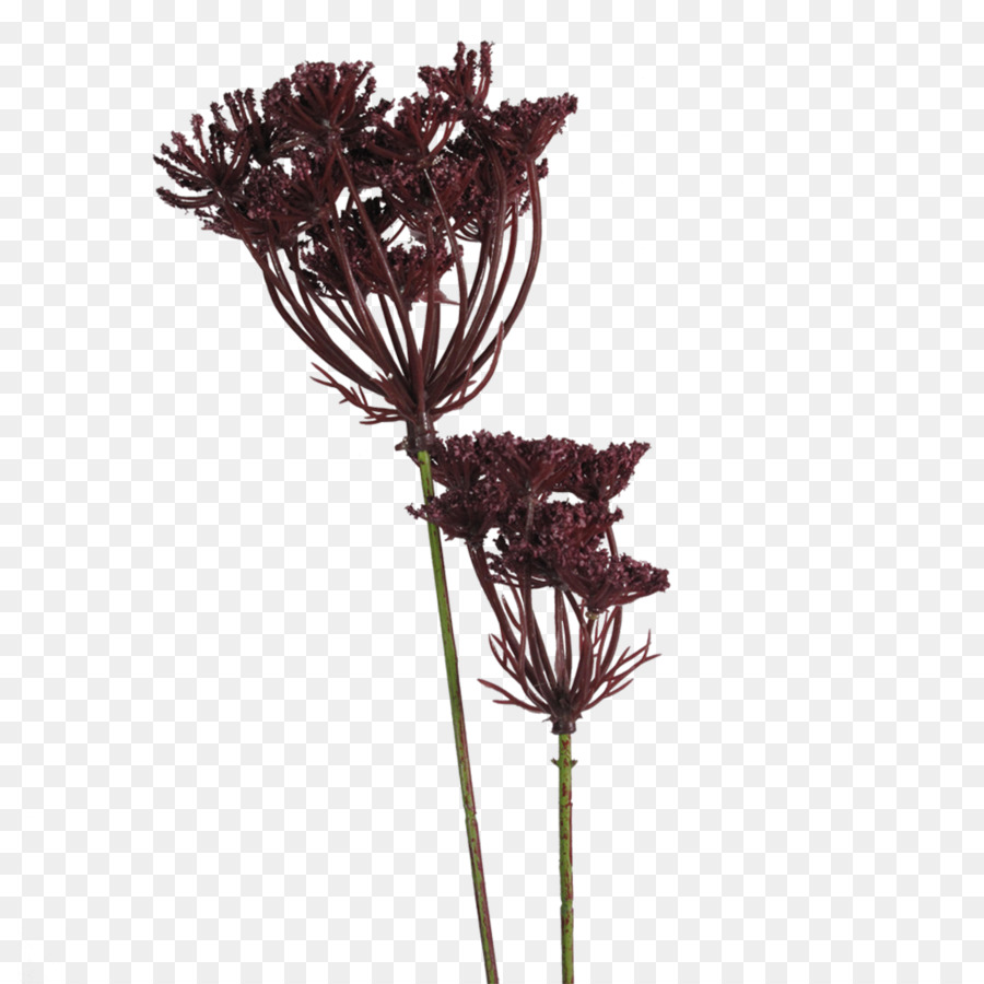 Fleur Artificielle，Cerf Rouge PNG