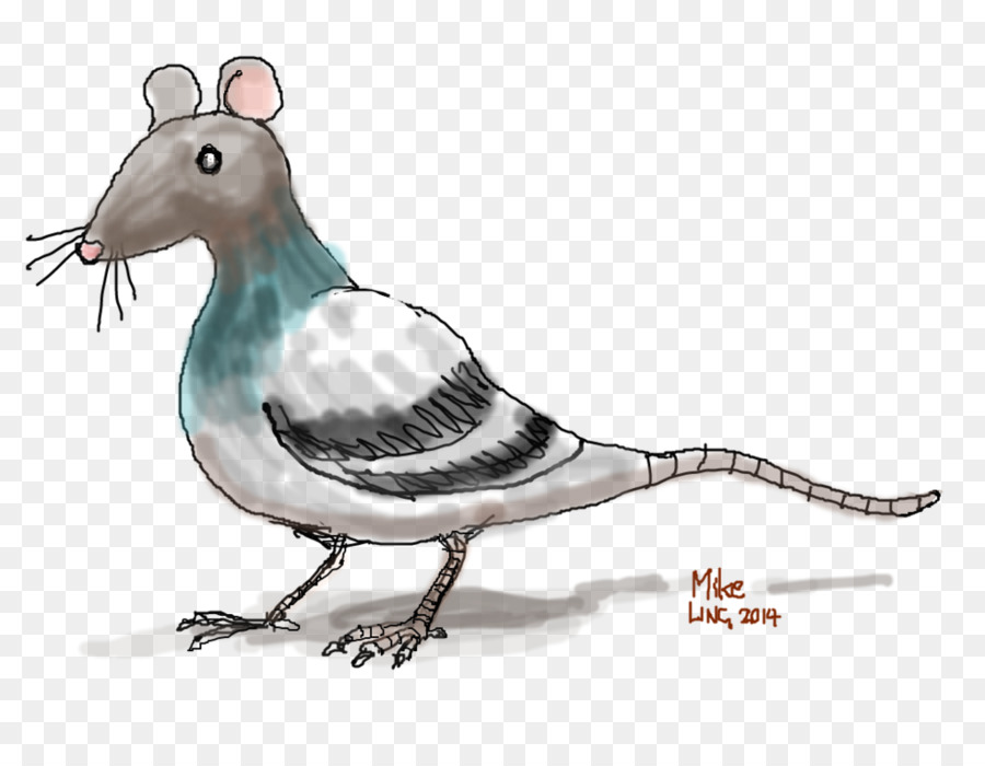 Hybride Rat Pigeon，Dessin Animé PNG