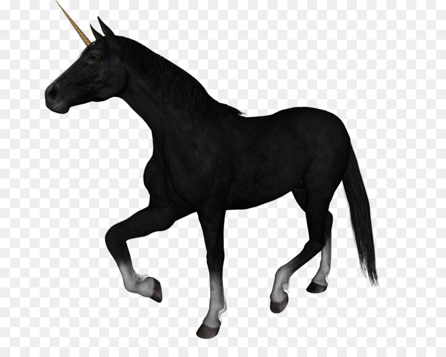 Licorne，Corne PNG