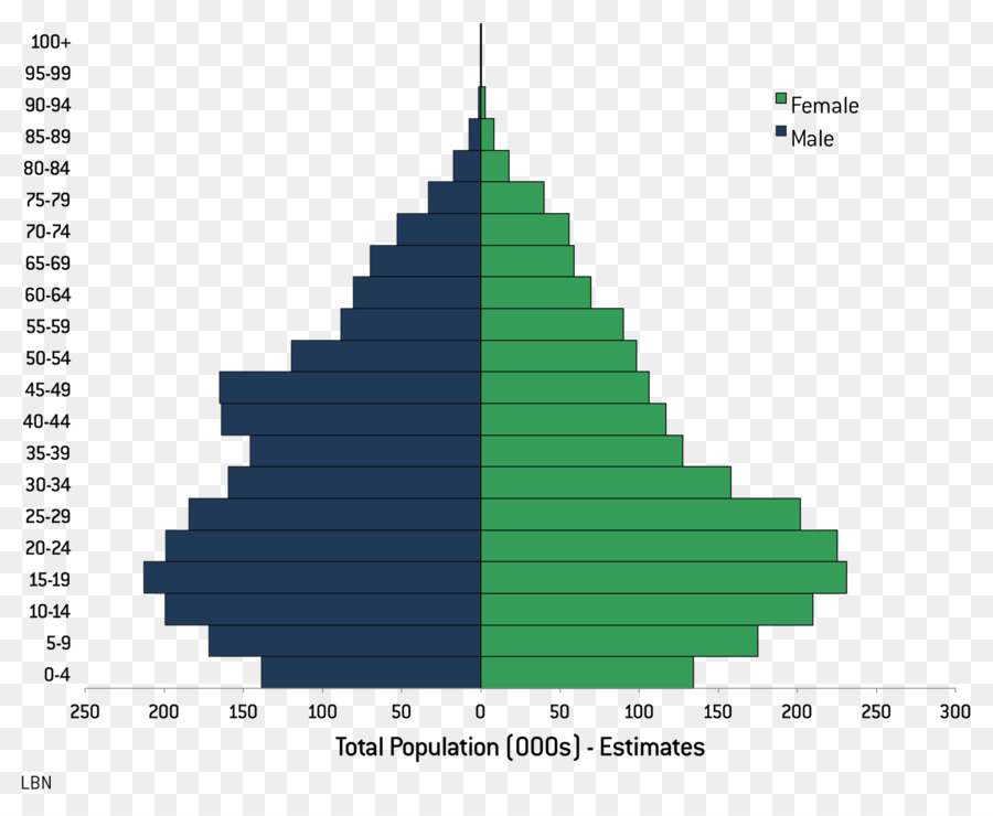 Pyramide Des âges，Données Démographiques PNG