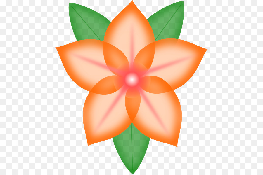 Fleur D'oranger，Fleurir PNG