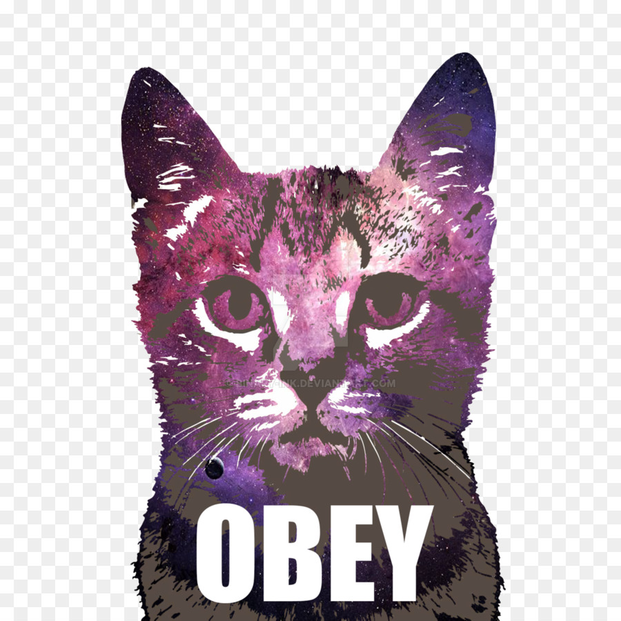 Chat，Tshirt PNG